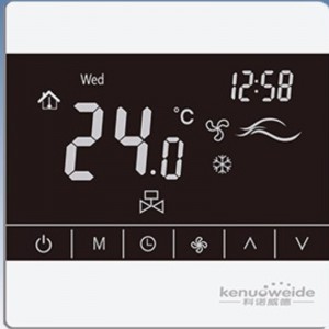 ck30.1 temperature controller